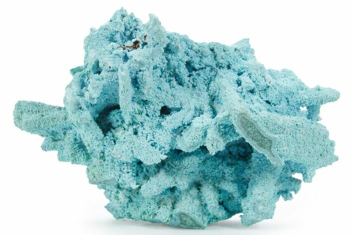 Chrysocolla and Malachite Pseudomorph - Lupoto Mine, DR Congo #354680